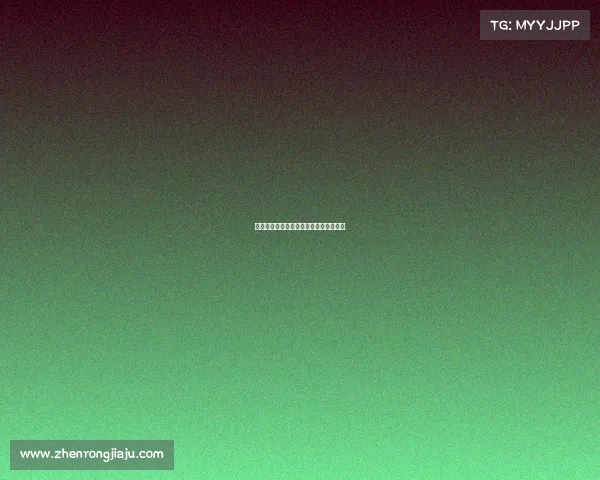 赛事组织方对球拍损坏事件的回应和措施